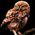 :iconkauzdave: