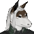 :iconkavalin: