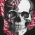 :iconkave-surren: