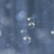 :iconkavote: