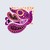 :iconkavsrao: