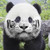 :iconkawa-chan13: