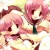 :iconkawaii21: