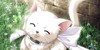 :iconkawaiicats: