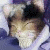 :iconkawaiihow: