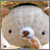 :iconkawaiikasumi: