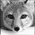 :iconkawairashii-kitsune:
