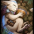 :iconkawakoneko: