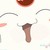 :iconkawamata: