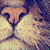 :iconkawamrozona: