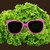 :iconkawoonbear: