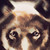 :iconkax3: