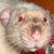 Kay-s-cafe :iconkay-s-cafe: