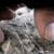 :iconkay-sea: