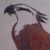 Kaya133 :iconkaya133: