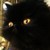 :iconkaya91: