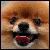 :iconkayaki-chan: