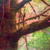 :iconkayd-equalize:
