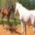 :iconkaydince-stock: