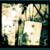 :iconKayedofu: