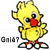 :iconkayga: