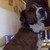 :iconkaykay-mae: