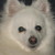 :iconkayla661: