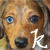 :iconkayladewi: