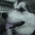 :iconkaylagordy88: