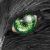 :iconKaylalily: