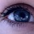 :iconkaylamboler: