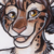 :iconkayleopard: