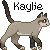 :iconkayliethecat: