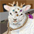 :iconkaylok: