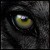 KaynesMoon :iconkaynesmoon: