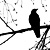 :iconkaypress-s-key: