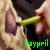 :iconkaypril: