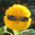 :iconkaytalthelehvakking:
