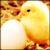 :iconkayteetheartist: