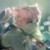 :iconkaze-no-kibou: