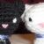 :iconkazefuu: