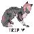:iconkazipoison: