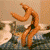 :iconkazu4: