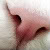 :iconkazuhiro101: