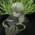 :iconkazuma4555: