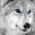 KazWolf33 :iconkazwolf33: