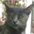 :iconkazy-fandango: