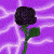 :iconkazzie-babie: