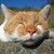 :iconkazzy-caffine: