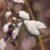 :iconkb-fotowelt: